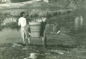 Folklorna građa (običaji) Istre, 1963. - 1965.: Opskrba vodom iz seoske lokve