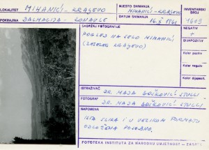 Folklorna građa iz Konavala 2, 1961.: Pogled na selo Mihanići (zaselak Kraljevo).