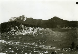 Lubenovac planina (dr. Marković: Lubenovac polje i planina Kozjak na sjevernom Velebitu) [ZNŽO, 48, 1980]