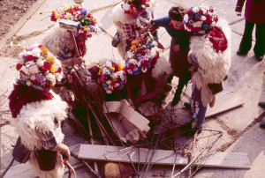 Poklade u Kastavštini, 1984.: Vode ga na lomaču