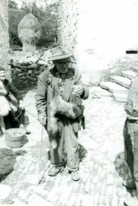Folklorna građa (običaji) Istre, 1963.-1965.: Seoski prosjak. Nosi kožu lisice i skuplja darove kao da ju je on ubio