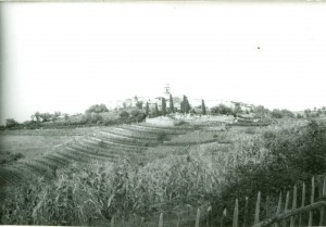 Folklorna građa (običaji) Istre, 1963.-1965.: Panorama sela