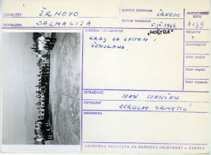 Moštra u Žrnovu (Korčula), 1966. "Moštra". Kralj sa svitom i ženskama.