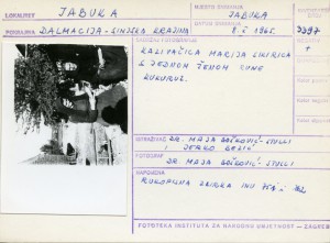 Muzički folklor Sinjske krajine, 1965.: Kazivačica Marija Sikirica s jednom ženom rune kukuruz