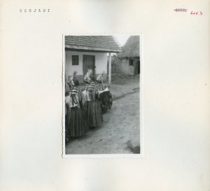 Folklorna građa okolice Đakova u lipnju 1957.: Ljelje