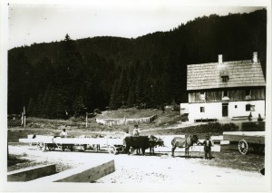 Bircuz u Štirovači, sjeverni Velebit  [(dr. Marković: srednji); opis HP-1914,transport greda]