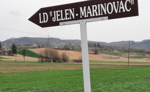 Putokaz LD Jelen - Marinovac