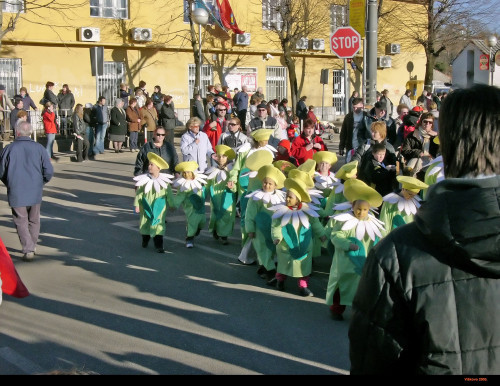Karneval. 2005.: Viškovo