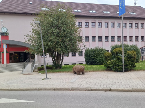 Terensko istraživanje u Gorskom kotaru 2024: Skulptura medvjeda ispred zgrade gradske uprave u Delnicama.