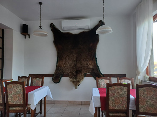 Terensko istraživanje u Gorskom kotaru 2024: Krzno medvjeda obješeno na zid u restoranu Lovački u Delnicama