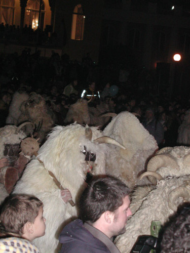 Fašnik u Mohaču, 9.-11.3.2003.
