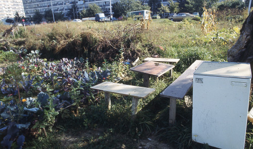 Alternativni urbanizam. Osmrtnice, travnjaci, balkoni, vrtovi. Zagreb: Vrtovi za uzgajanje povrća u Utrinama