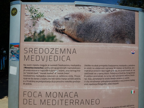 Info-plakat o sredozemnoj medvjedici, Verudela, Pula