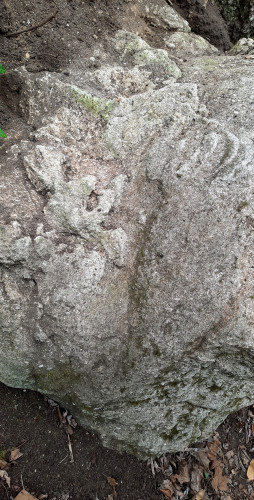 Detalj gornje plohe kultnog kamena, lokalitet Dumača, Osijek Vojakovački