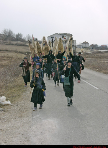 Didi iz Udovčića, 7. veljače 2005.