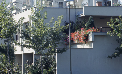 Alternativni urbanizam. Osmrtnice, travnjaci, balkoni, vrtovi. Zagreb: Cvijeće na balkonima